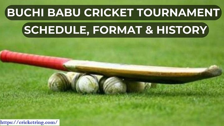 Buchi Babu Cricket Tournament